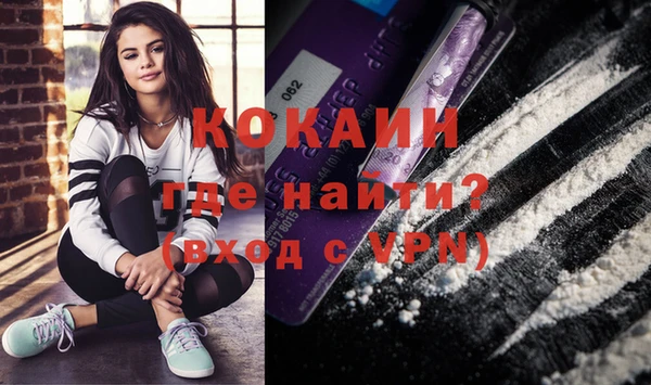 молекула духа Ладушкин
