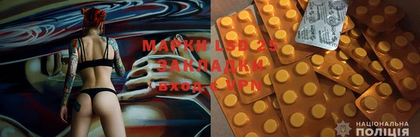 ГАЛЛЮЦИНОГЕННЫЕ ГРИБЫ Лабытнанги