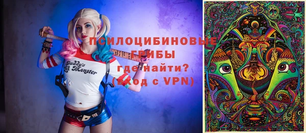 ГАЛЛЮЦИНОГЕННЫЕ ГРИБЫ Лабытнанги