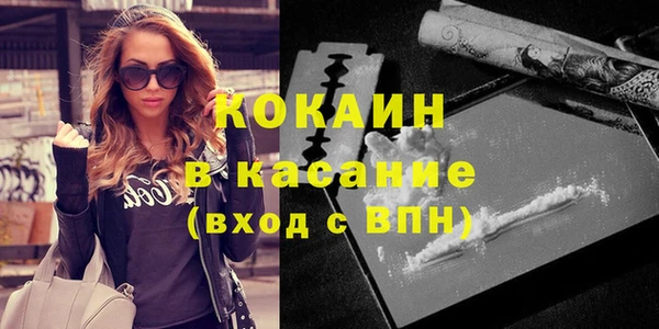 молекула духа Ладушкин