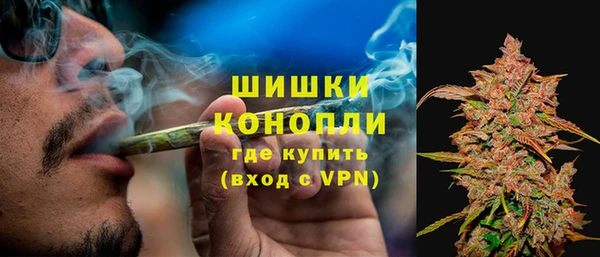 ГАЛЛЮЦИНОГЕННЫЕ ГРИБЫ Лабытнанги