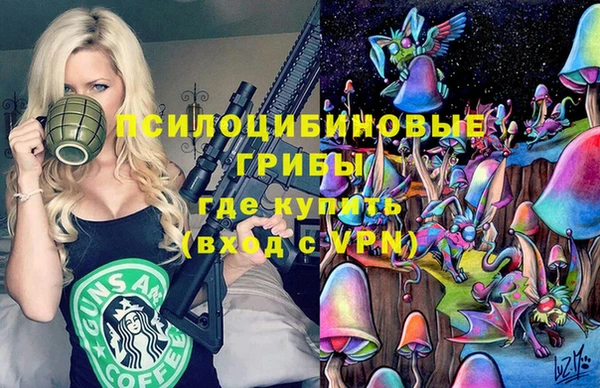 молекула духа Ладушкин