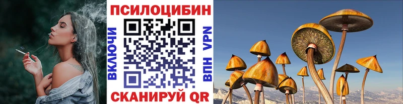 Галлюциногенные грибы прущие грибы где купить Чапаевск