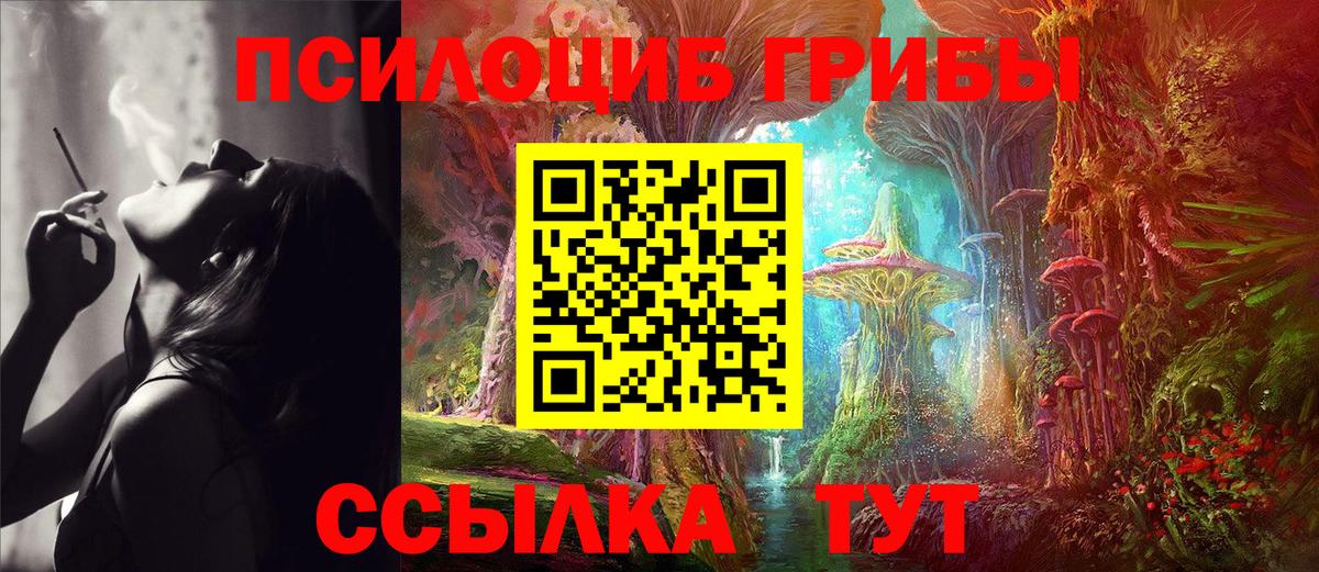 Псилоцибиновые грибы прущие грибы  Галлюциногенные грибы мицелий  Вход с VPN  Чапаевск 